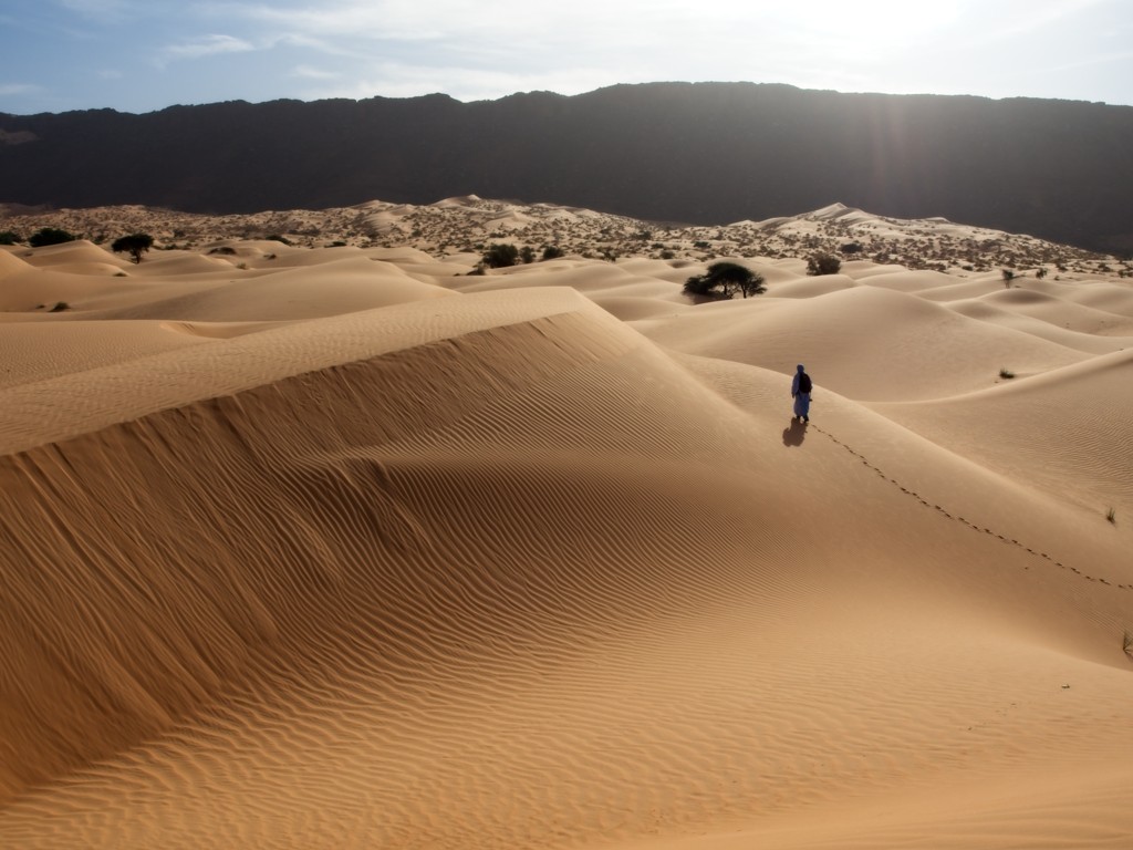 impressions of a trekking in the Adrar region of Mauritania